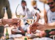 cum aleg un vin bun curs si degustare 26 29 august 