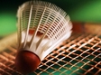 cupa 1 decembrie la badminton