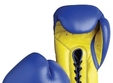 cupa bihorul la box