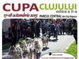 cupa clujului