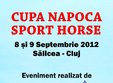 cupa napoca sport horse salicea