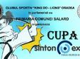 cupa sinton expert taekwon do