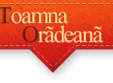cupa toamnei oradene streetball ed a xv a
