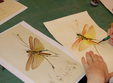 curs de desen in tus