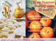 curs de gatit societe gourmet d ale toamnei