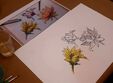 curs de ilustra ie
