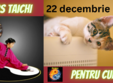 curs de taichi pentru curio i