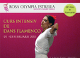 curs intensiv de dans flamenco cu rosa olympia estrella spania