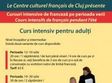 curs intensiv de franceza pentru adulti 12 16 iulie cluj