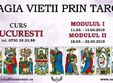 curs magia vietii prin tarot studiul arcanelor majore