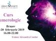 curs numerologie brasov