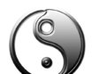 curs tai chi
