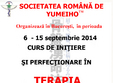 curs terapie yumeiho