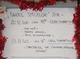 dansul stelelor 2011