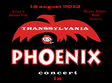 concert phoenix la dudestii noi