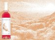 degustare de vin la lion cafe