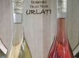 degustare de vin pelin frizzante domeniile urlati
