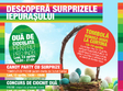 descopera surprizele iepurasului la oradea shopping city