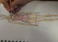 design vestimentar