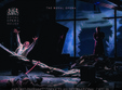 die walkure royal opera house