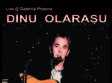 dinu olarasu live galeriile phoenix