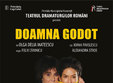 doamna godot de olga delia mateescu