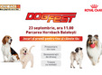 dogfest 2017 hornbach balote ti