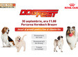 dogfest 2017 hornbach bra ov