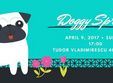 doggy spring gekko pub