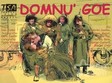 domnu goe la brasov