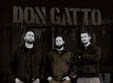 don gatto hu guests in downtown satu mare