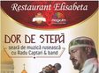 dor de stepa concert radu captari