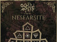 e an na lansare album nesfarsite la quantic