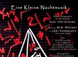 eine kleine nachtmusik de gigi caciuleanu