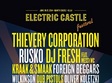 electric castle festival 2014