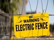 electric fence in wings
