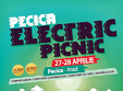 electric picnic in pecica