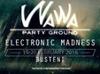 electronic madness 