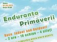 enduranta primaverii