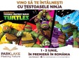  estoasele ninja vin pentru prima data in romania