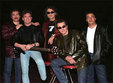 evenimente constanta concert holograf
