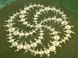 evenimentele centrului seeds for happiness in saptamana 19 25 noiembrie 2012