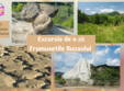 excursie de o zi frumusetile buzaului