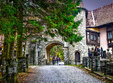 excursie la sinaia singles only