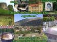 excursie pentru singles