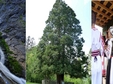 excursii vacante pentru oameni singuri