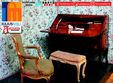 expo antichitati timisoara