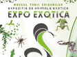 expo exotica