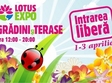 expo gradini si terase