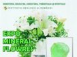 expo mineral flowers la bucuresti